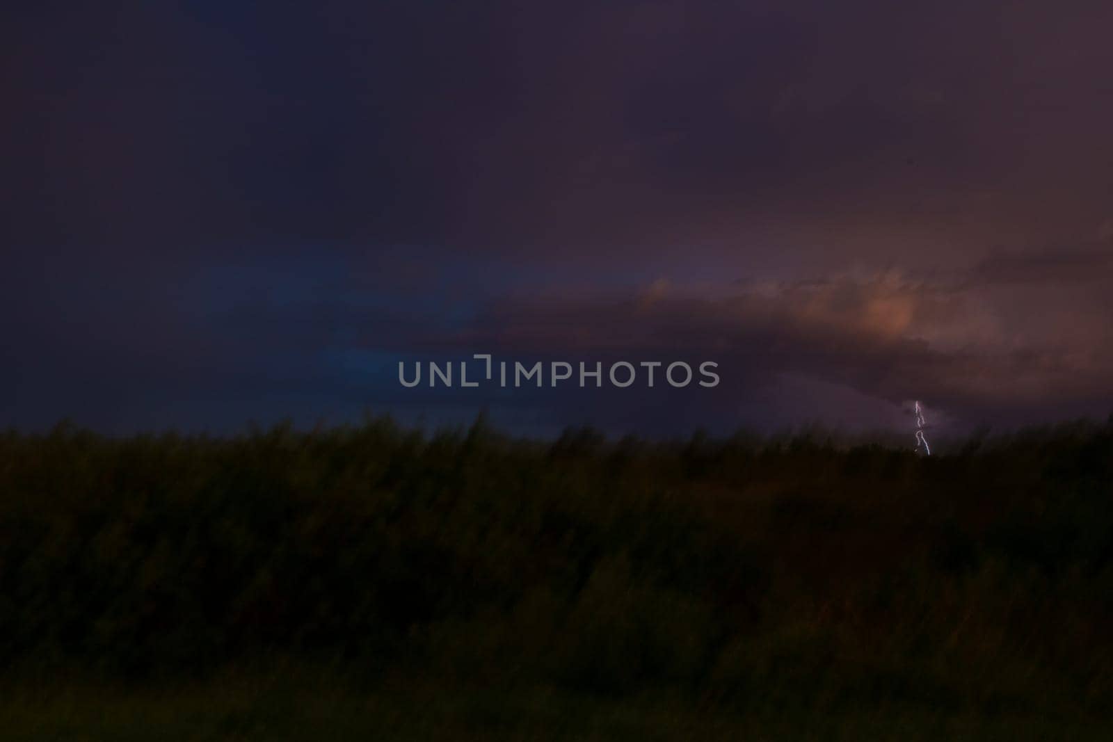 Lightning Strike in the everglades in a surreal landscape