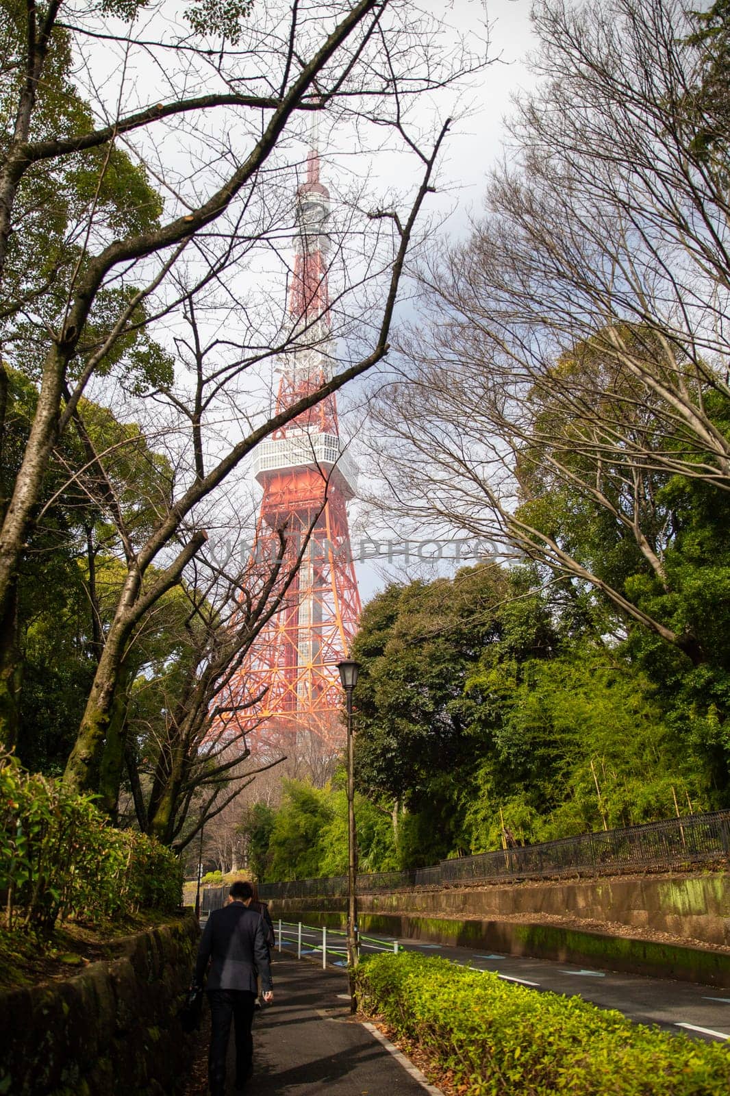 Tokyo Tower in March Spring Time