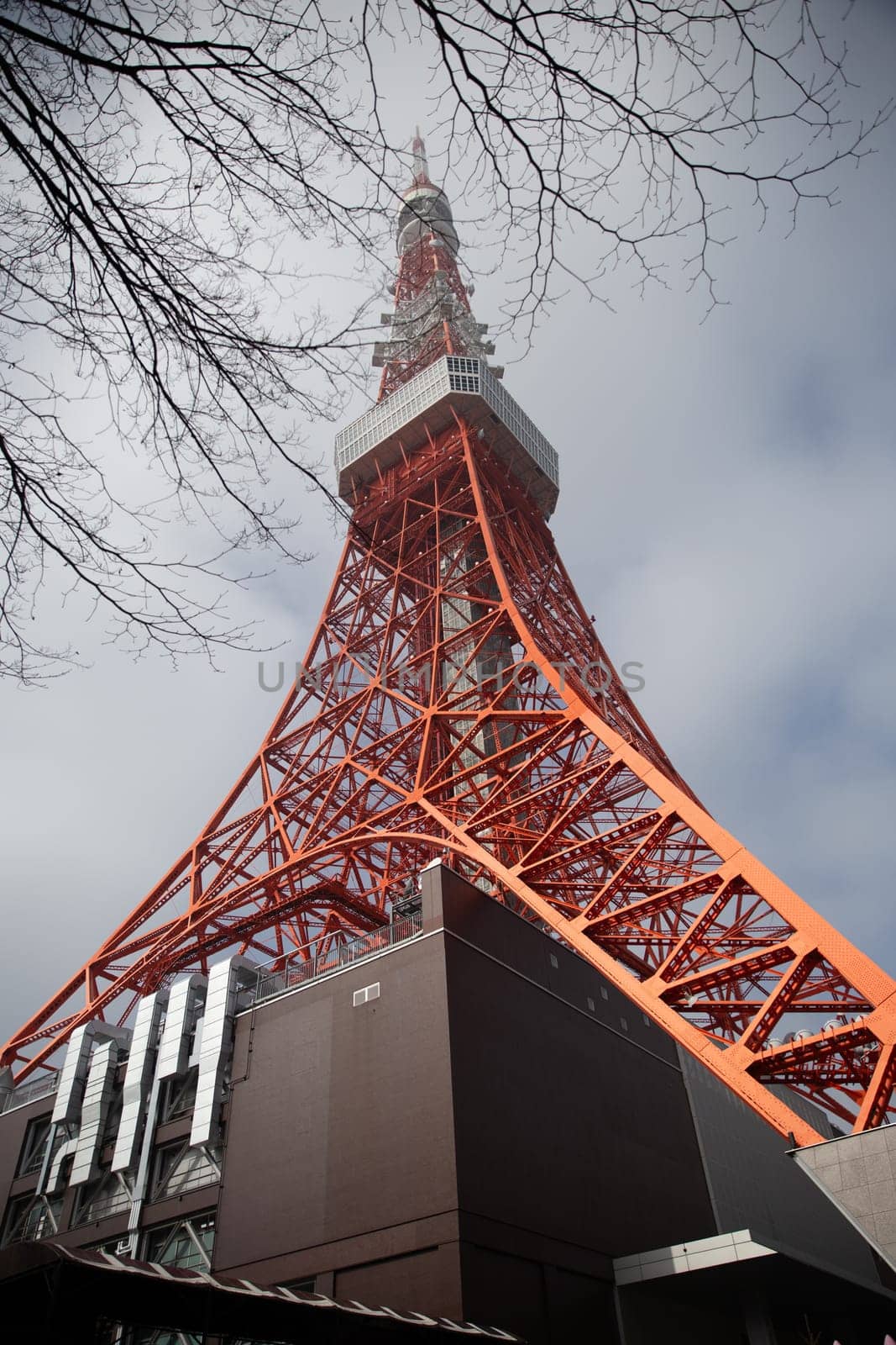 Portrait shot of Tokyo Tower in March