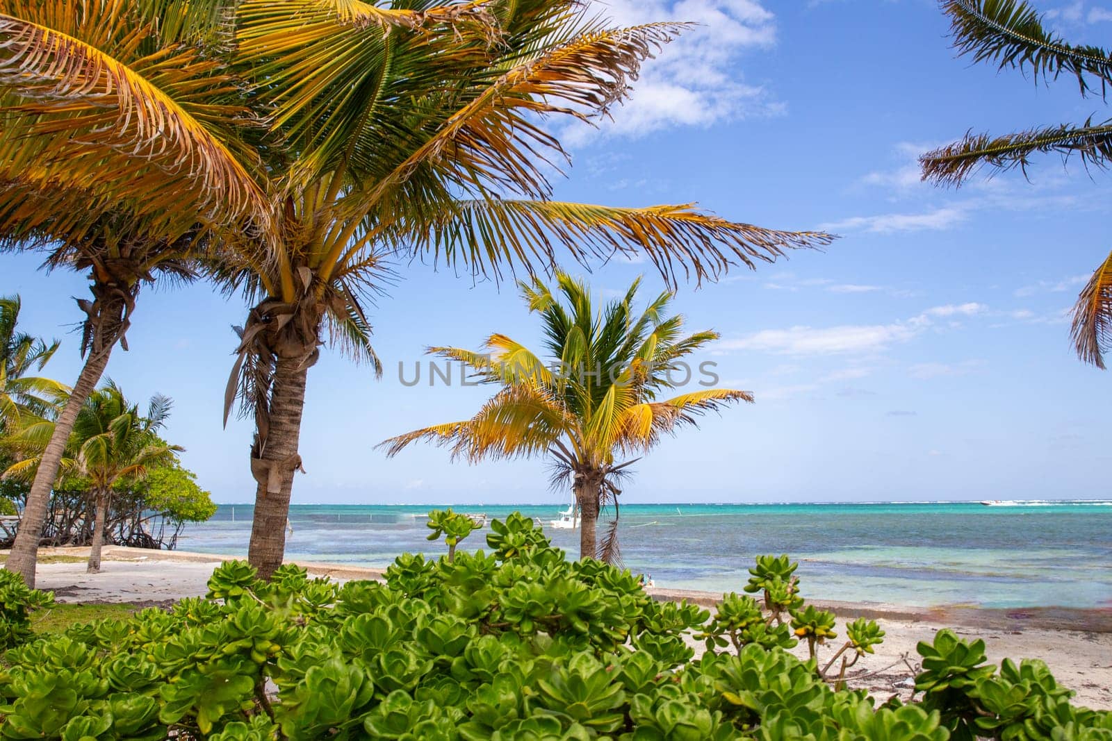 Beach vacation spot in Amber Gris Caye