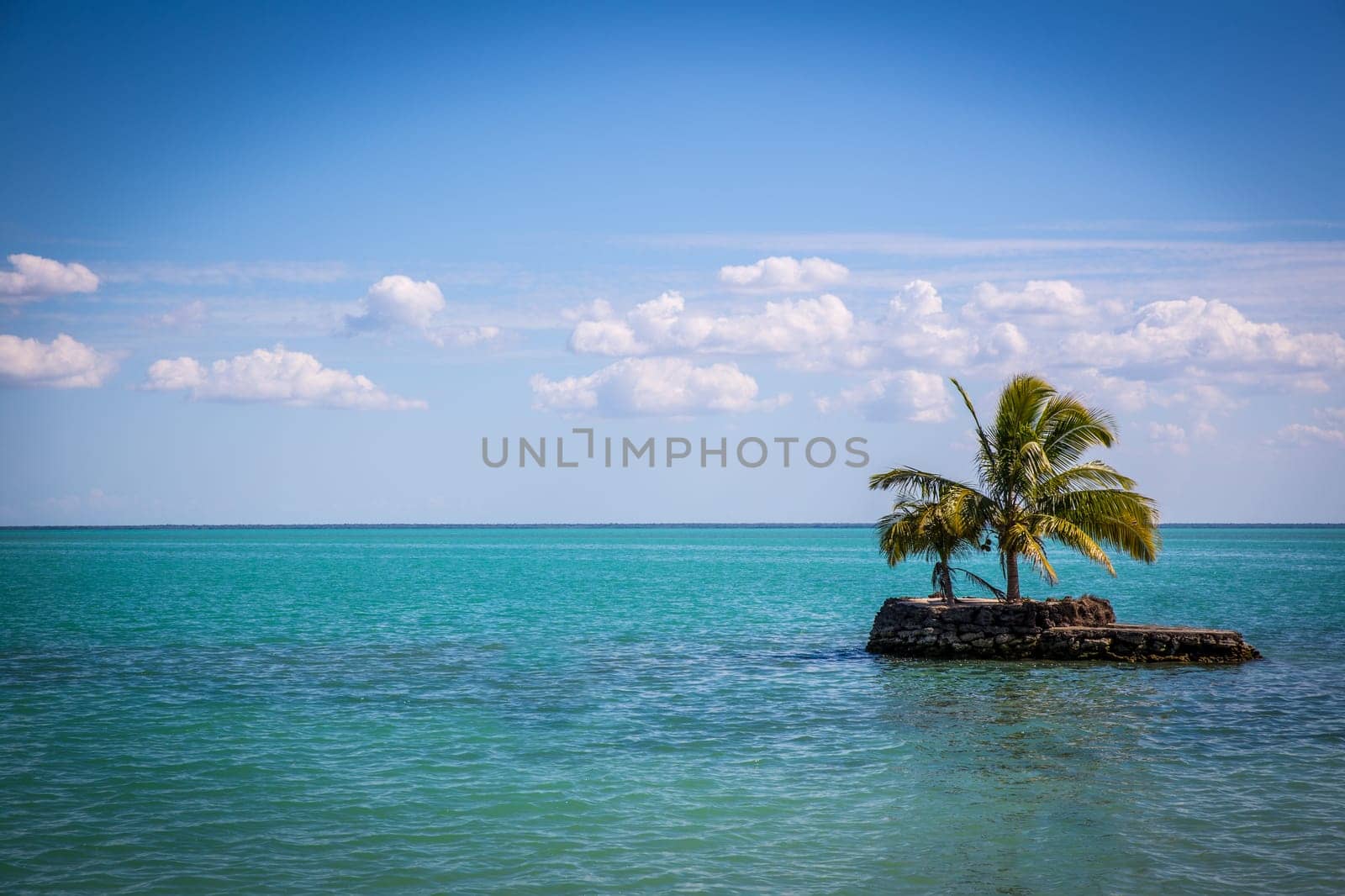 Secluded Island with Palm Trees on the ocean