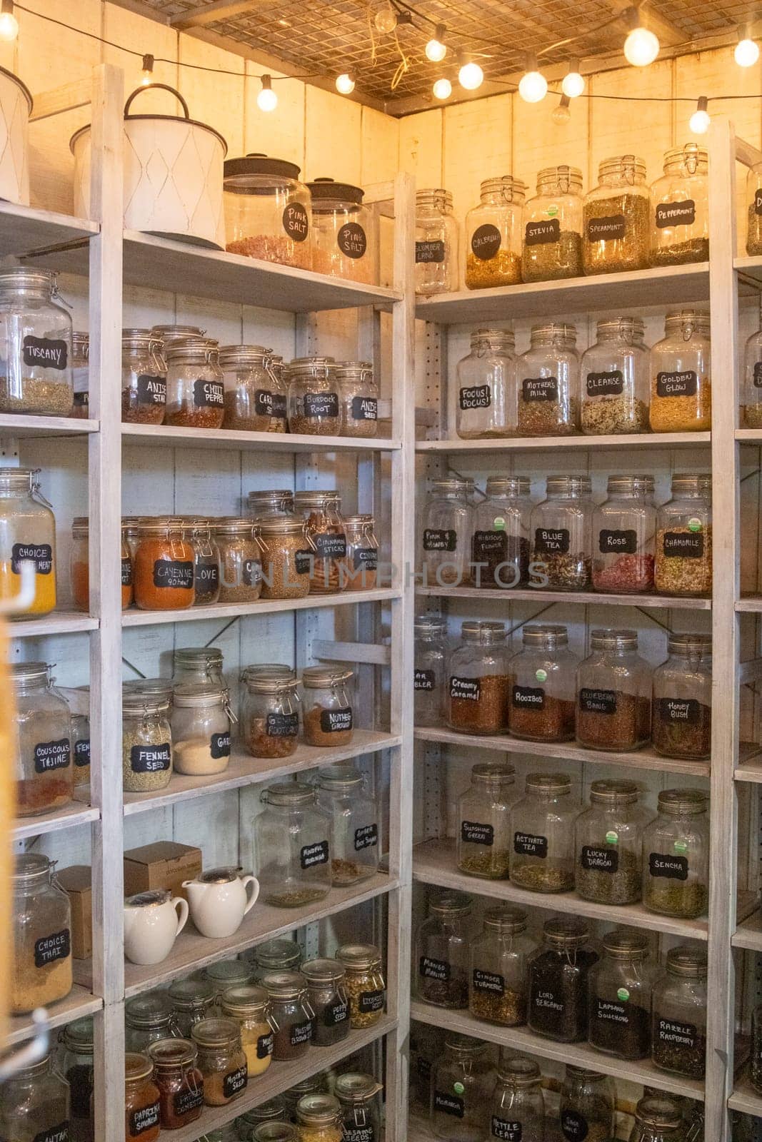 Variety of Many Herbal Teas