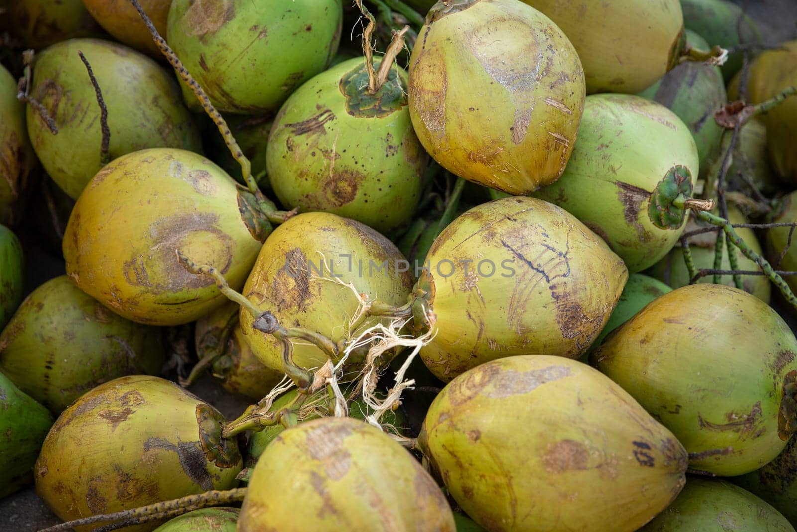 A pile of Coconuts that was just picked