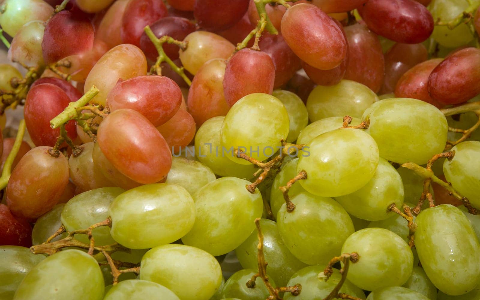 Close up on Red and Green Grapes
