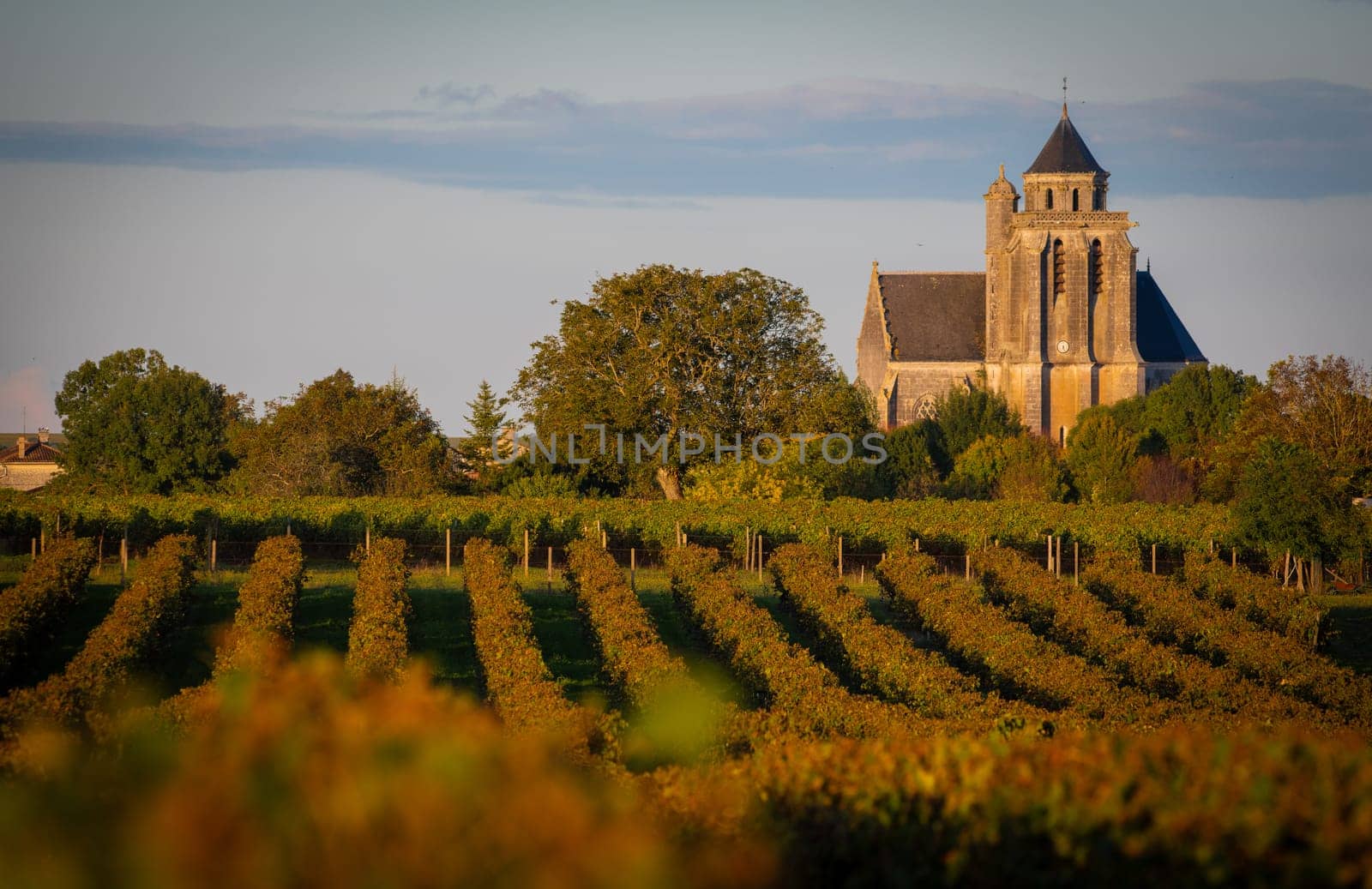 France, Charente-Martime, Lonzac Church,in Cognac Vineyards, Petite Champagne by FreeProd
