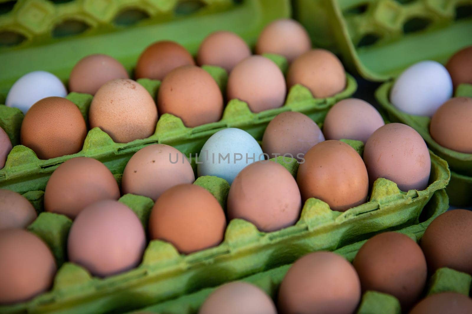 Farm Fresh Organic Eggs in cartons at a market