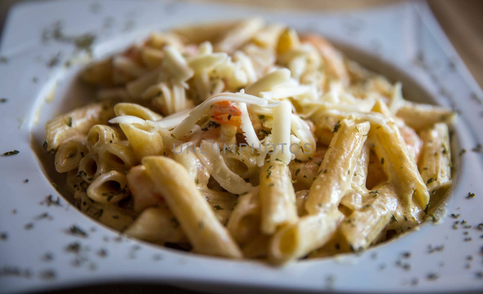 Penne Alfredo with Shrimp shot close up