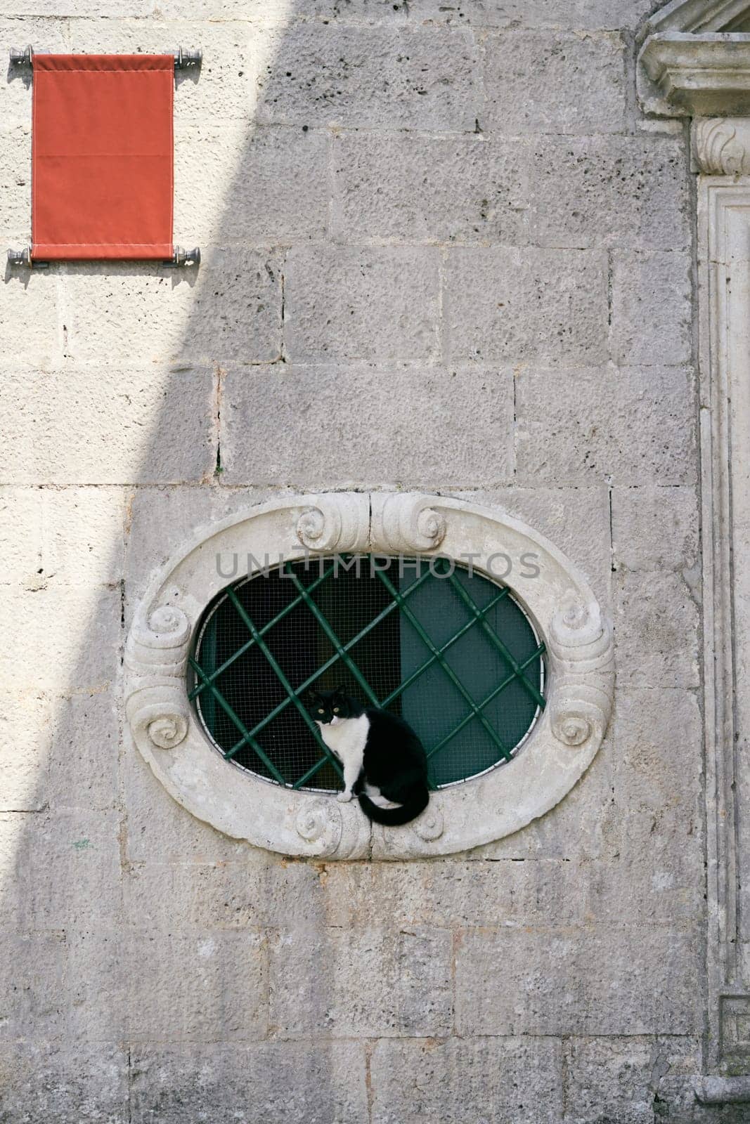 Black and white cat sits on a barred window of an ancient building with a red sign. High quality photo