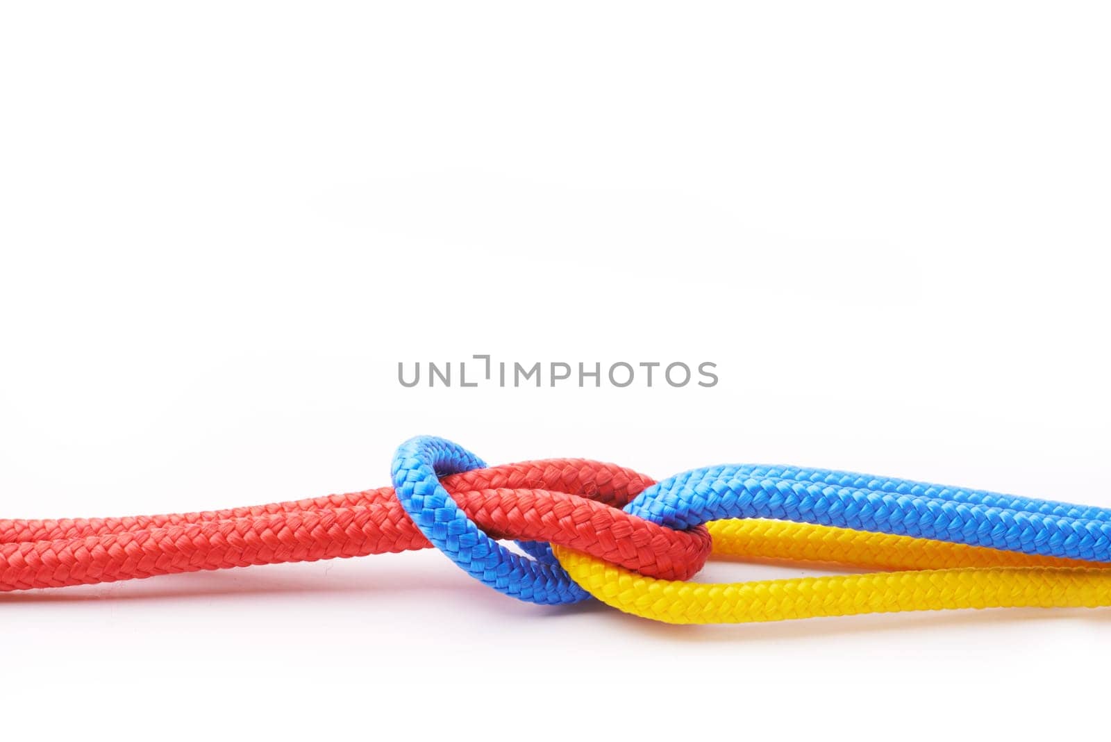 Rope, teamwork and collaboration in white studio background for abstract, knot or connection. Security, cables or community thread together in business with color for diversity, inclusion or building.