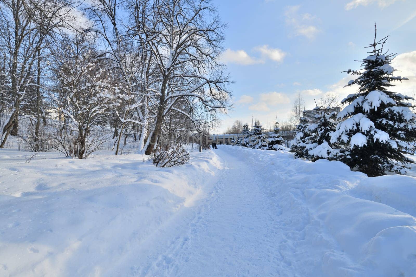 Snow-covered alley in awinter park in Moscow, Russia