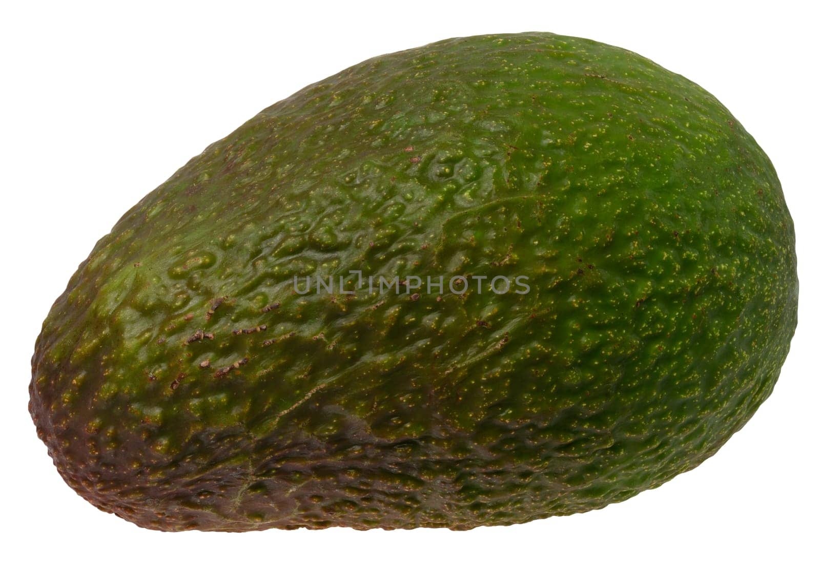 Whole green avocado fruit isolated on white background, tasty and healthy, close up