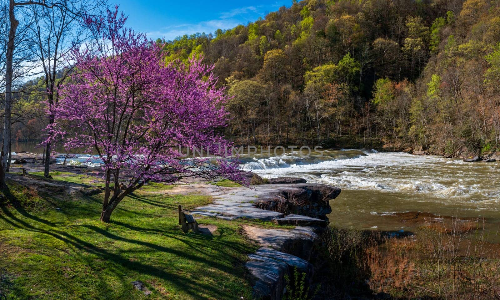 Bench view of Valley Falls on a bright spring morning by steheap