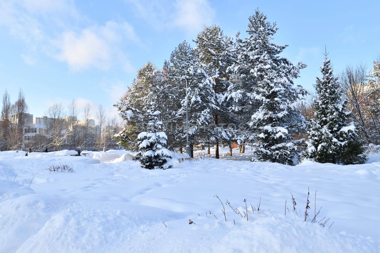 Snow-covered City Park in winter in Moscow, Russia