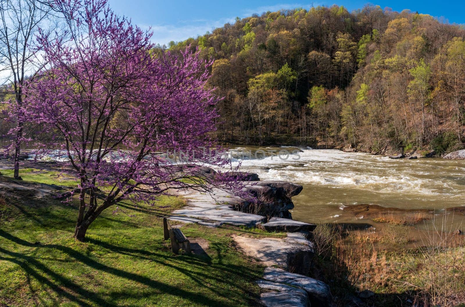 Bench view of Valley Falls on a bright spring morning by steheap