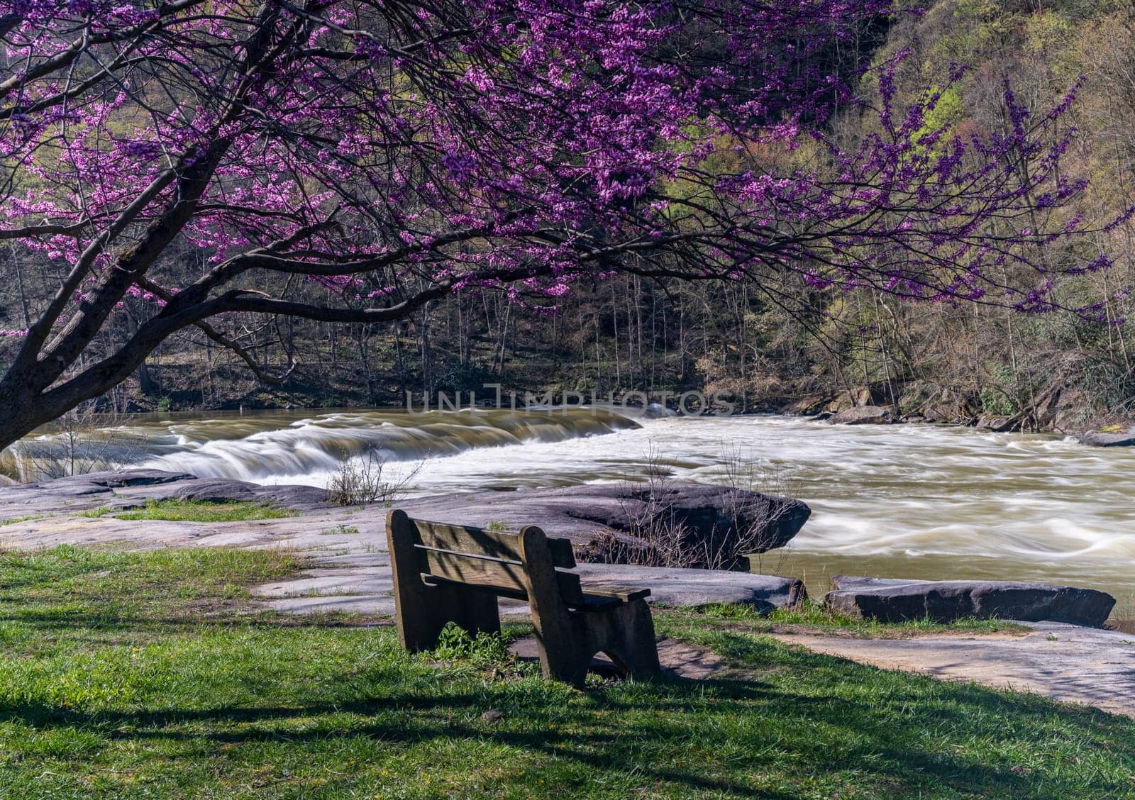 Bench overlook of Valley Falls State Park near Fairmont in West Virginia on a colorful and bright spring day with redbud blossoms on the trees
