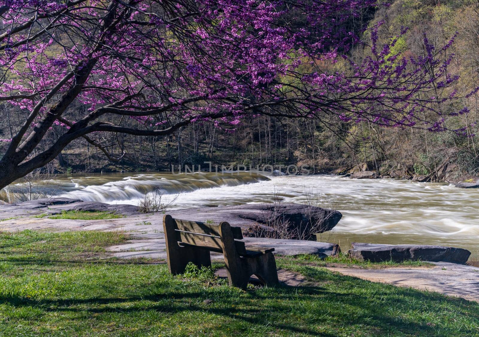 Bench overlook of Valley Falls State Park near Fairmont in West Virginia on a colorful and bright spring day with redbud blossoms on the trees