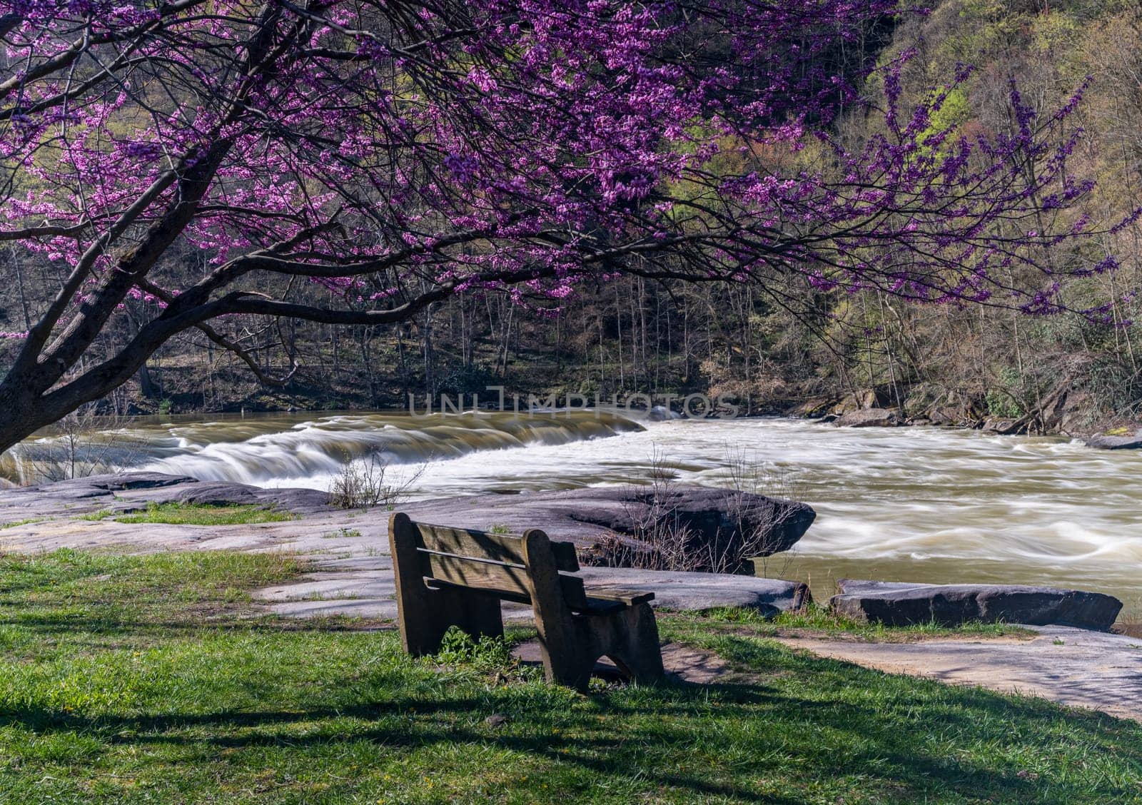 Wooden bench view of Valley Falls on spring morning by steheap