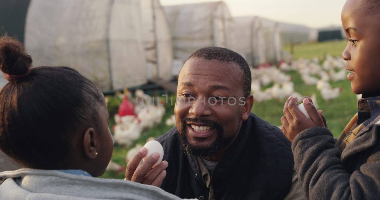 Father, children and farm with chicken egg at countryside for harvest, ecology and development. Black family, man and kids with poultry in farming for agriculture, learning and teaching in Kenya.