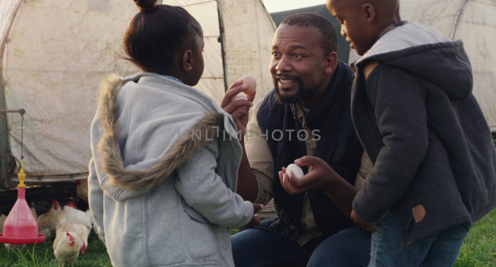 Man, kids and farm with chicken eggs at countryside for agriculture, teaching and development. Black family, father and children with poultry in farming for harvest, learning and export in Nigeria by YuriArcurs