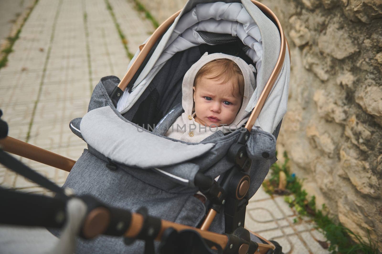 Caucasian cute baby boy 7-9 months old in baby stroller outdoors by artgf