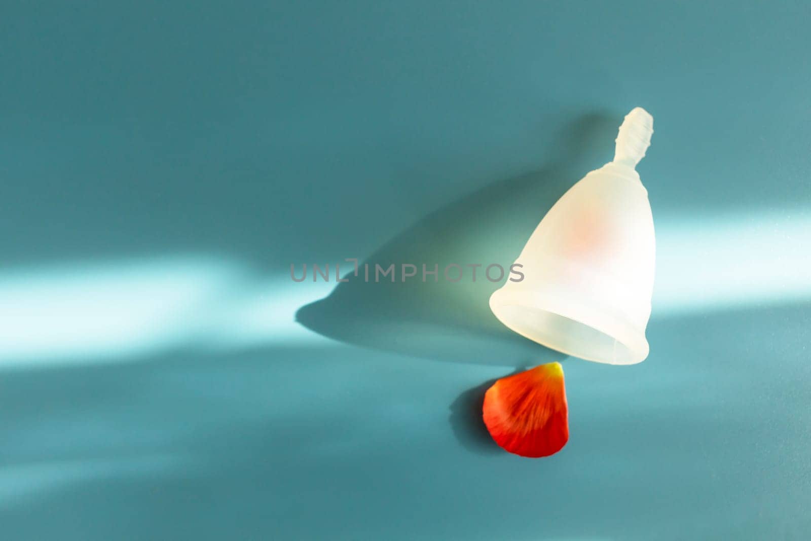 Mockup Menstrual Cup And Red Flower Petal On Blue Backdrop, Background with Shadow, Copy Space, World Menstrual Hygiene Day On May, 28. Horizontal Plane, Design.