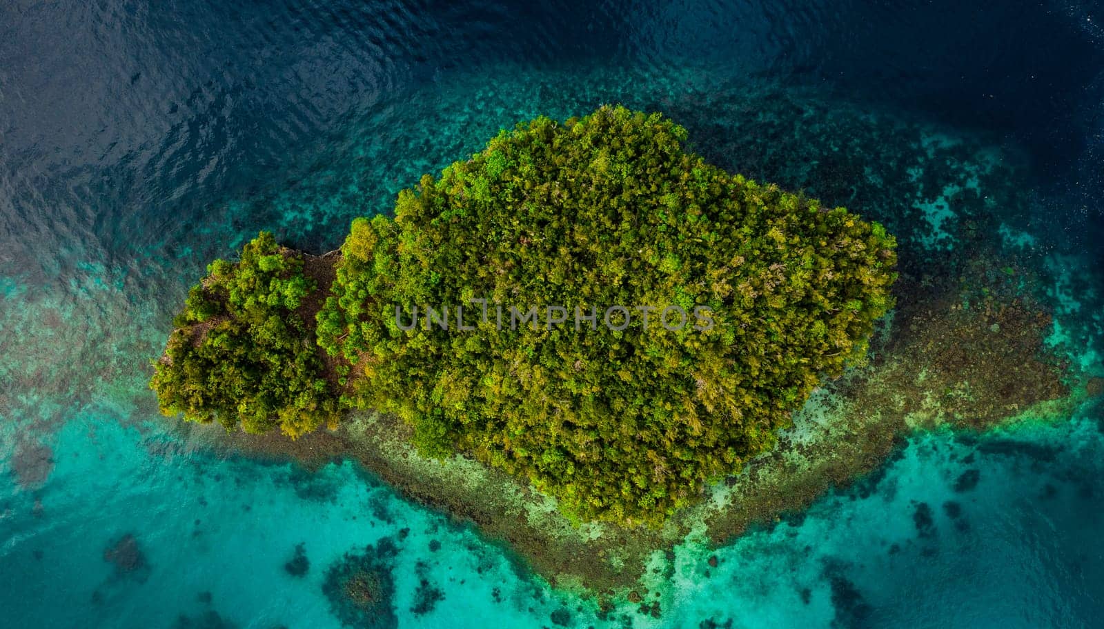 Ariel, tropical island and ocean in outdoors, trees and nature travel for planet adventure. Above view, Raja Ampat and jungle in Indonesia for vacation, forest and sea or water for peace or calm.