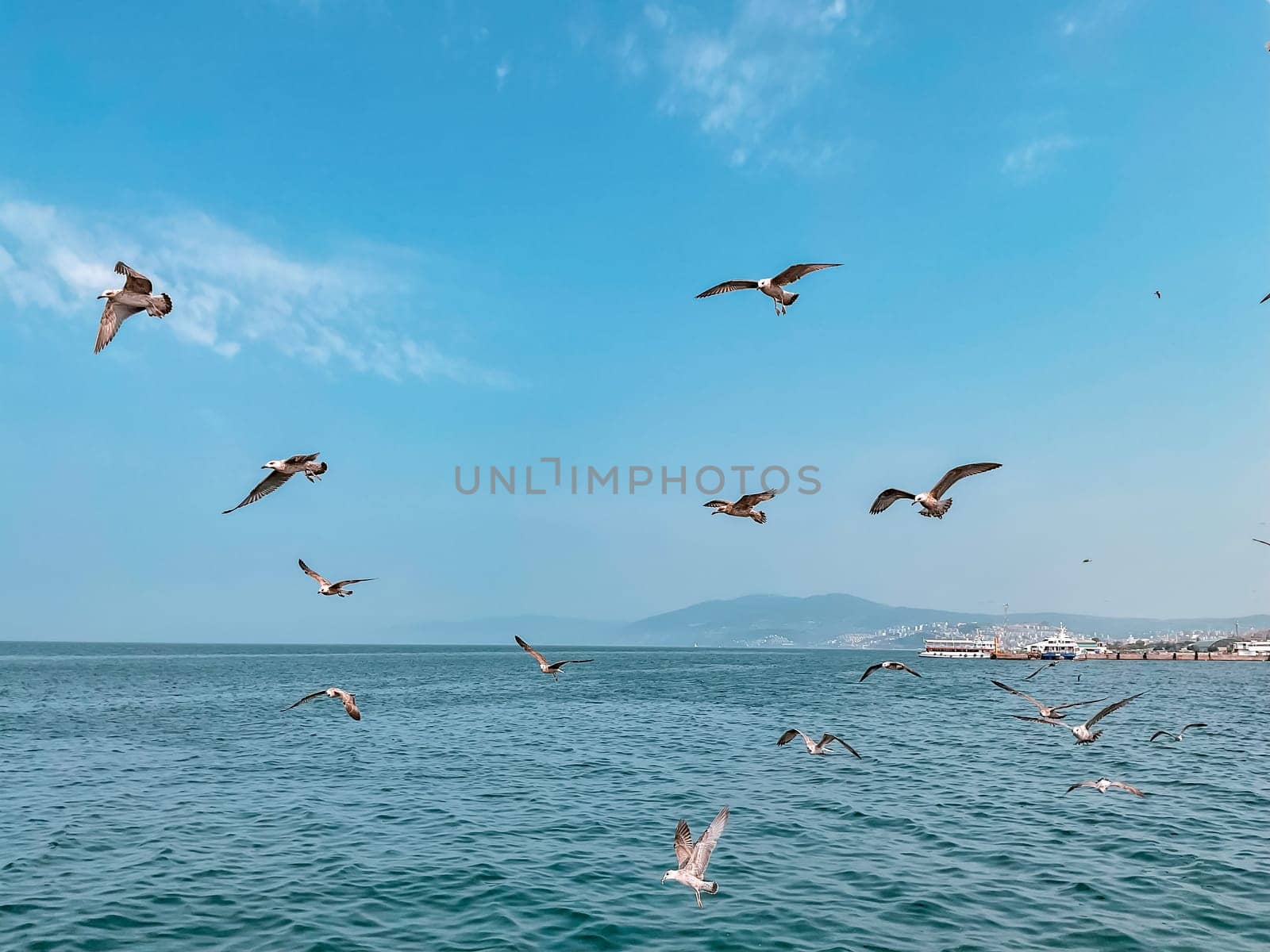 Seagulls fly in the blue sky over the blue sea against the backdrop of mountains by Lunnica