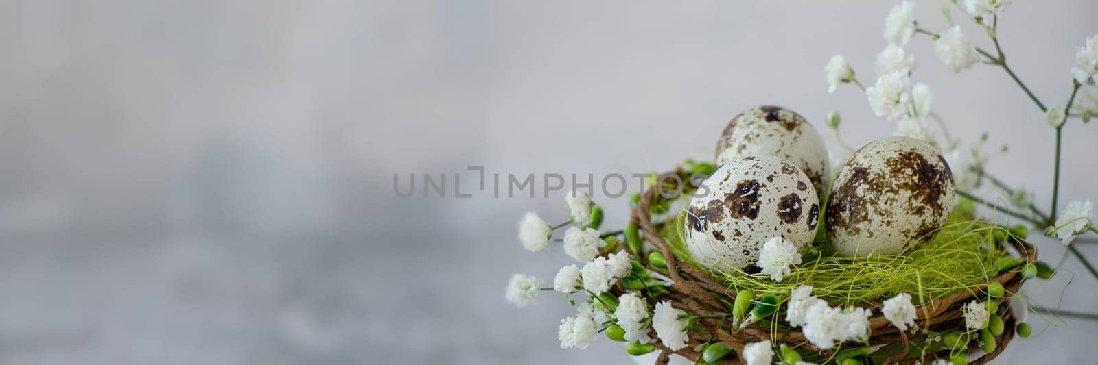 banner of close-up of three Easter quail eggs in a green nest around white spring flowers. Happy Easter concept. by Leoschka