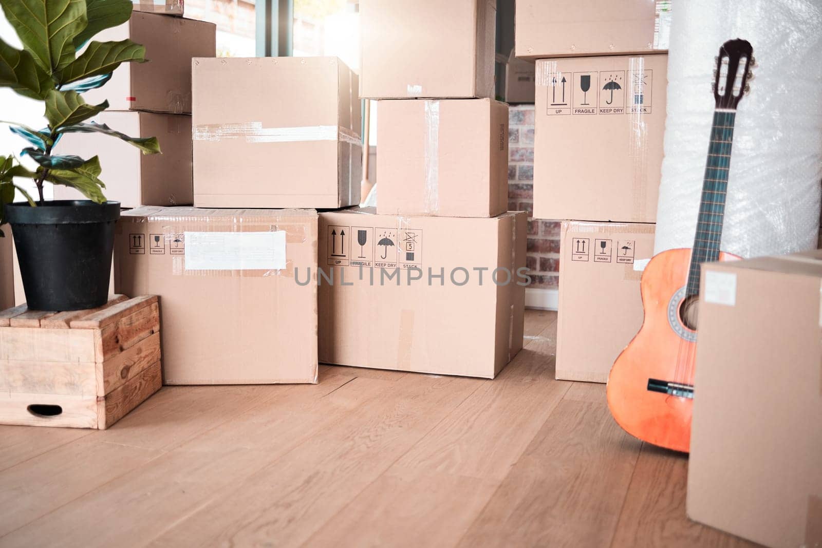 Interior, storage and box by plant in new house, apartment or property for moving, relocating or purchase a home. Shipping, real estate or mortgage for renovation with guitar in space, lounge or room.