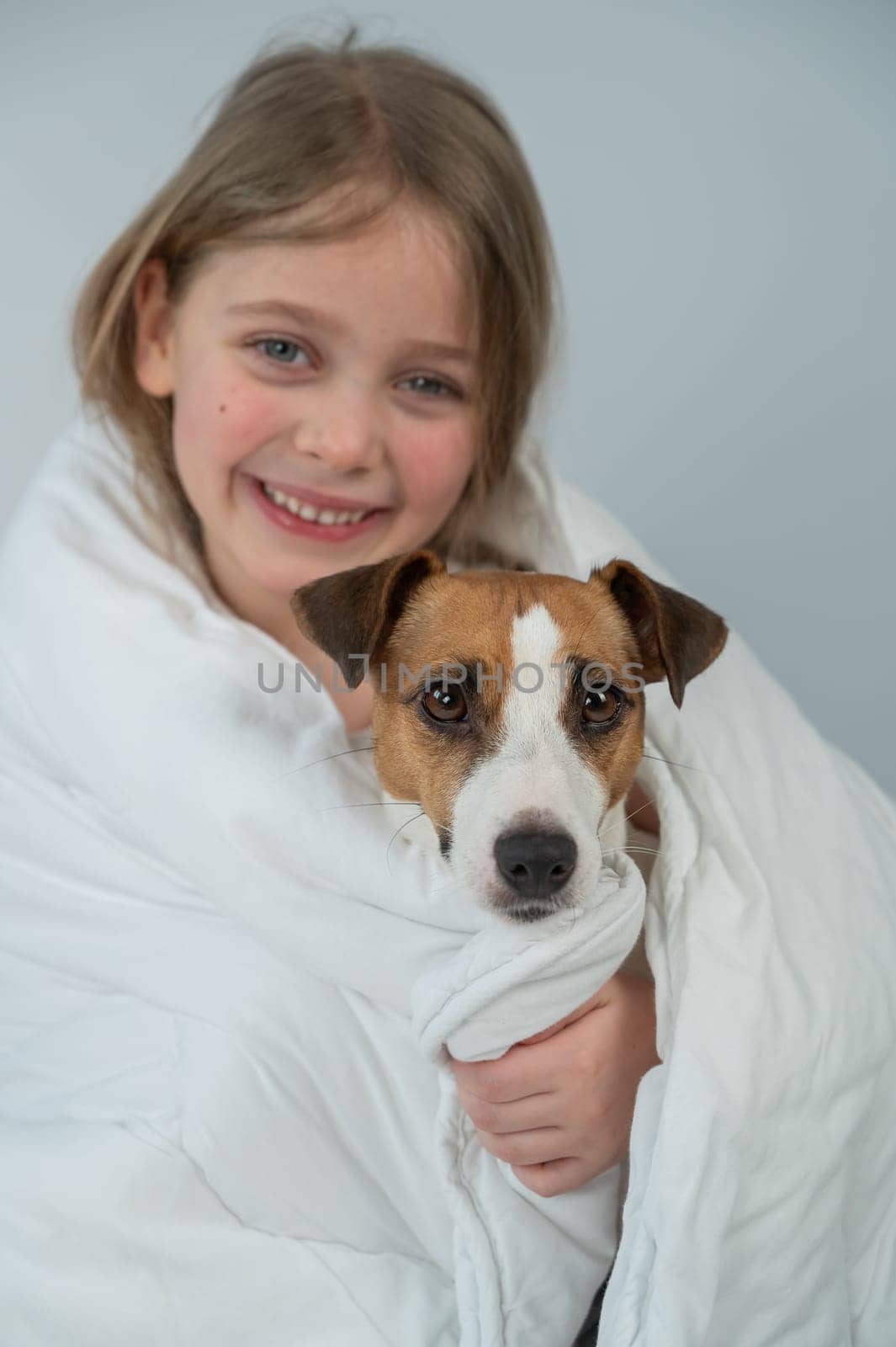 Little Caucasian girl hugging a Jack Russell terrier dog wrapped in a blanket. Vertical photo. by mrwed54