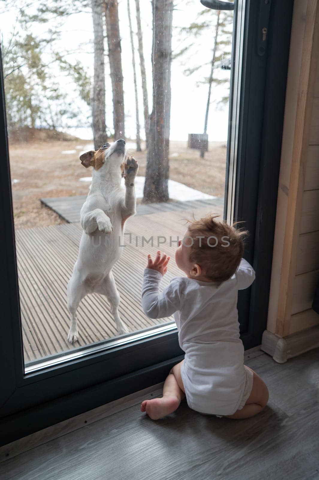 The dog stands at the patio window and knocks his paw on the glass towards the standing baby boy from the side. Vertical photo