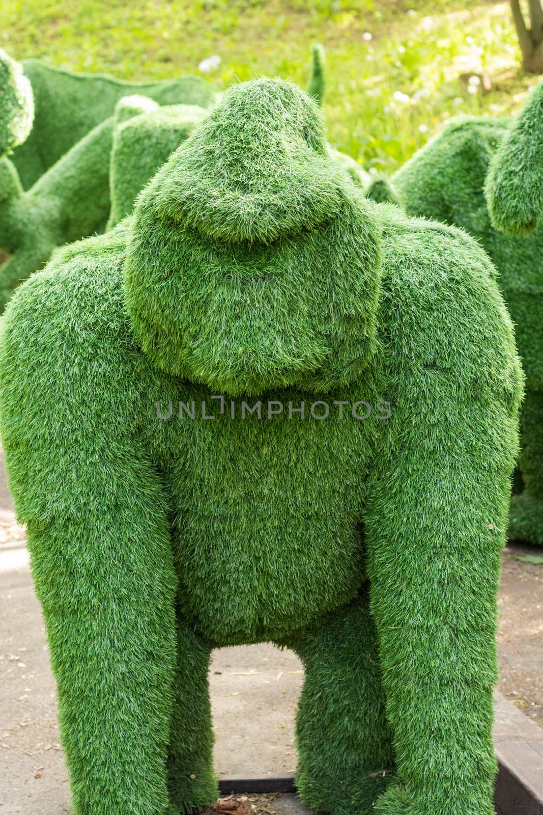orangutan created from bushes at green animals. garden decoration. Figures for the exhibition of artificial grass. Topiary gardens. garden statues, sculptures.
