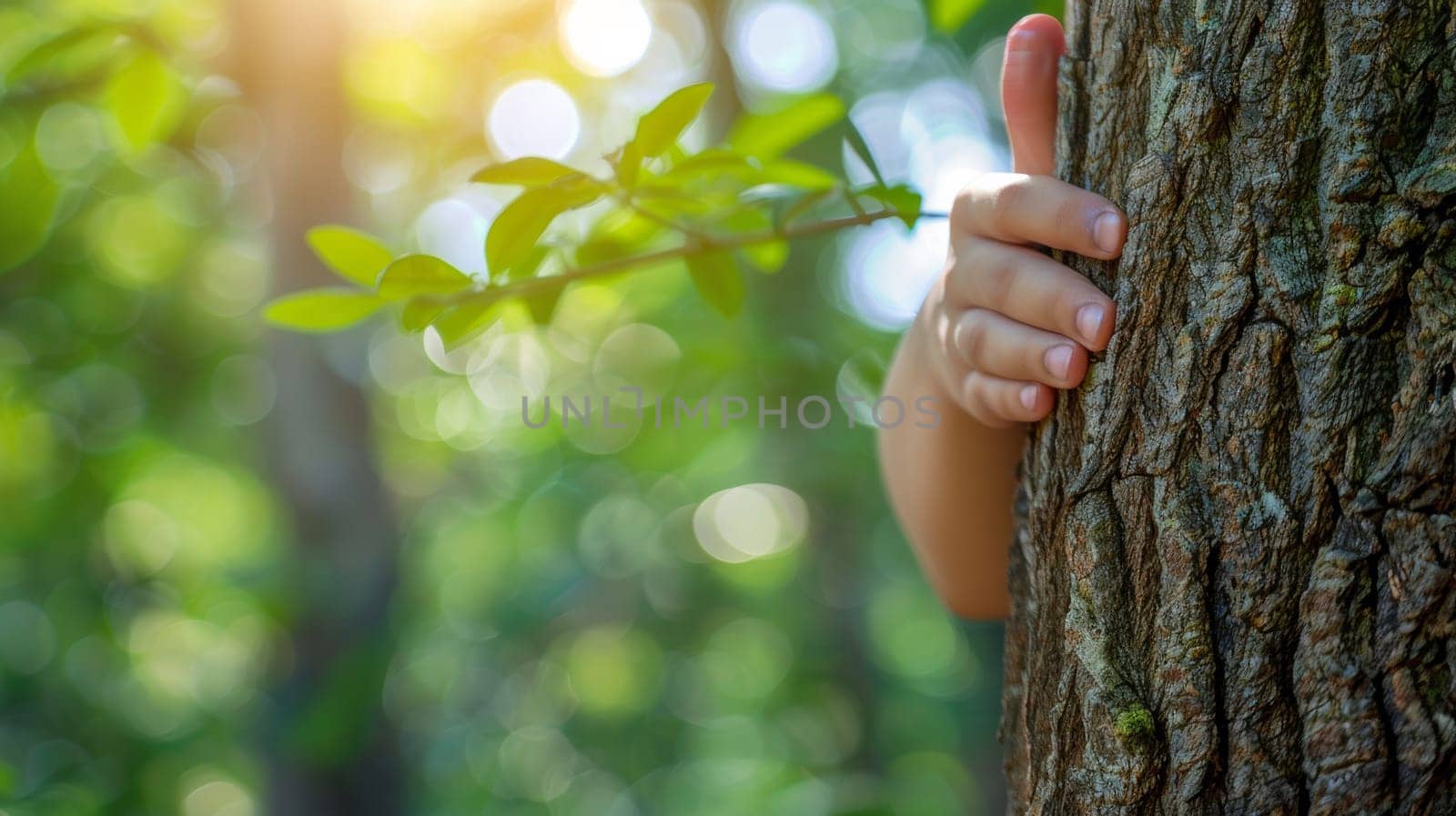 A person's hand on a tree trunk with green leaves