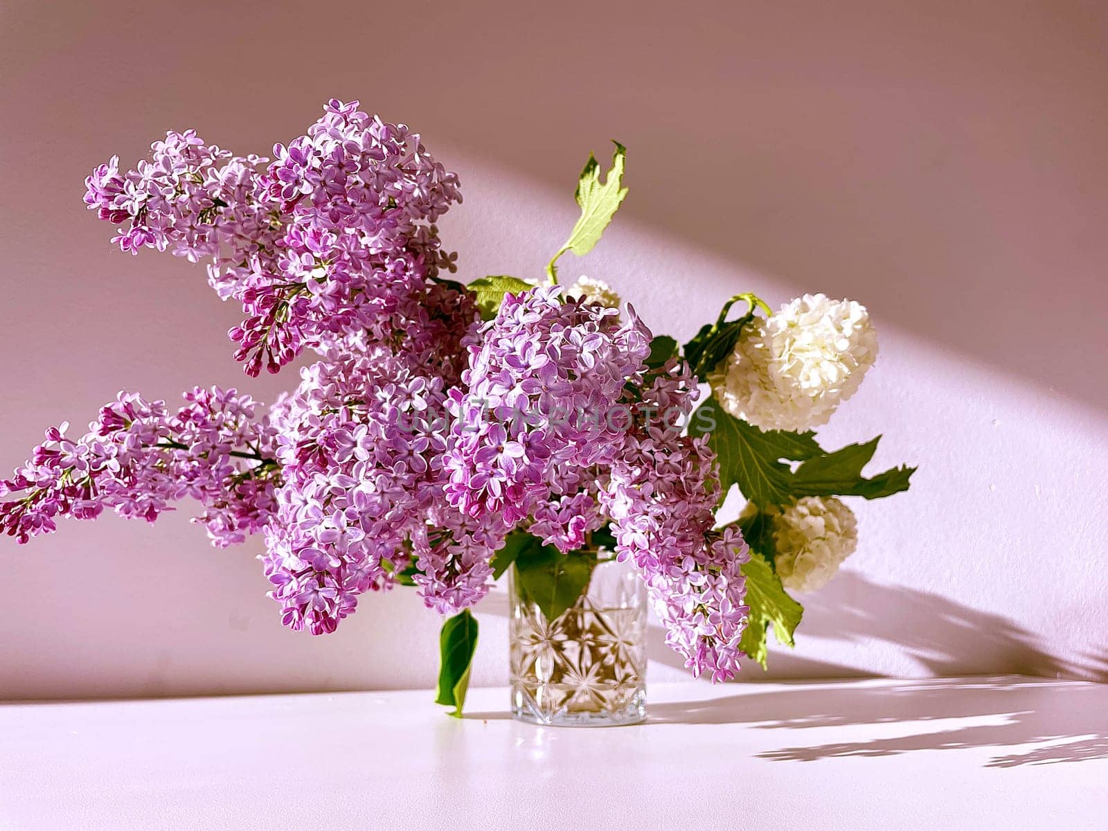 On a pink background in sunlight, a bouquet of purple lilac and white viburnum. High quality photo
