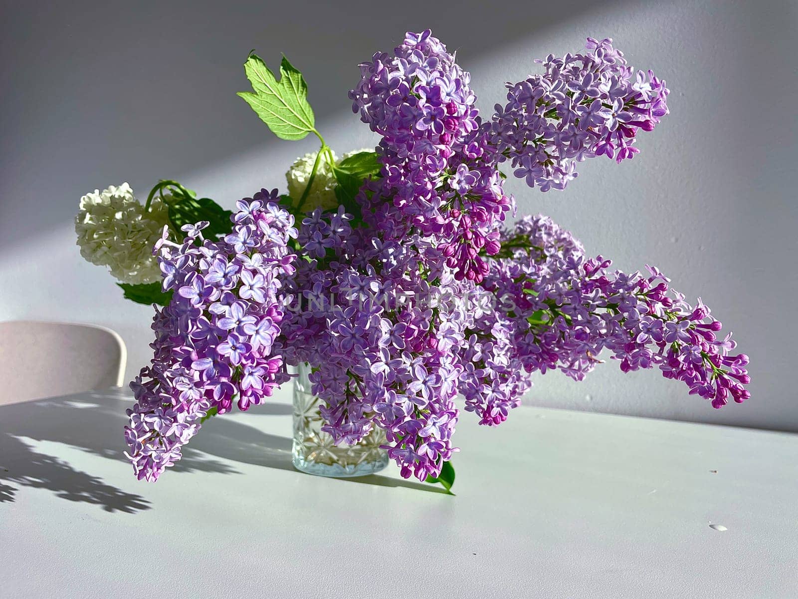 A bouquet of blossoming purple lilac flowers and a white viburnum inflorescence on a gray background. High quality photo