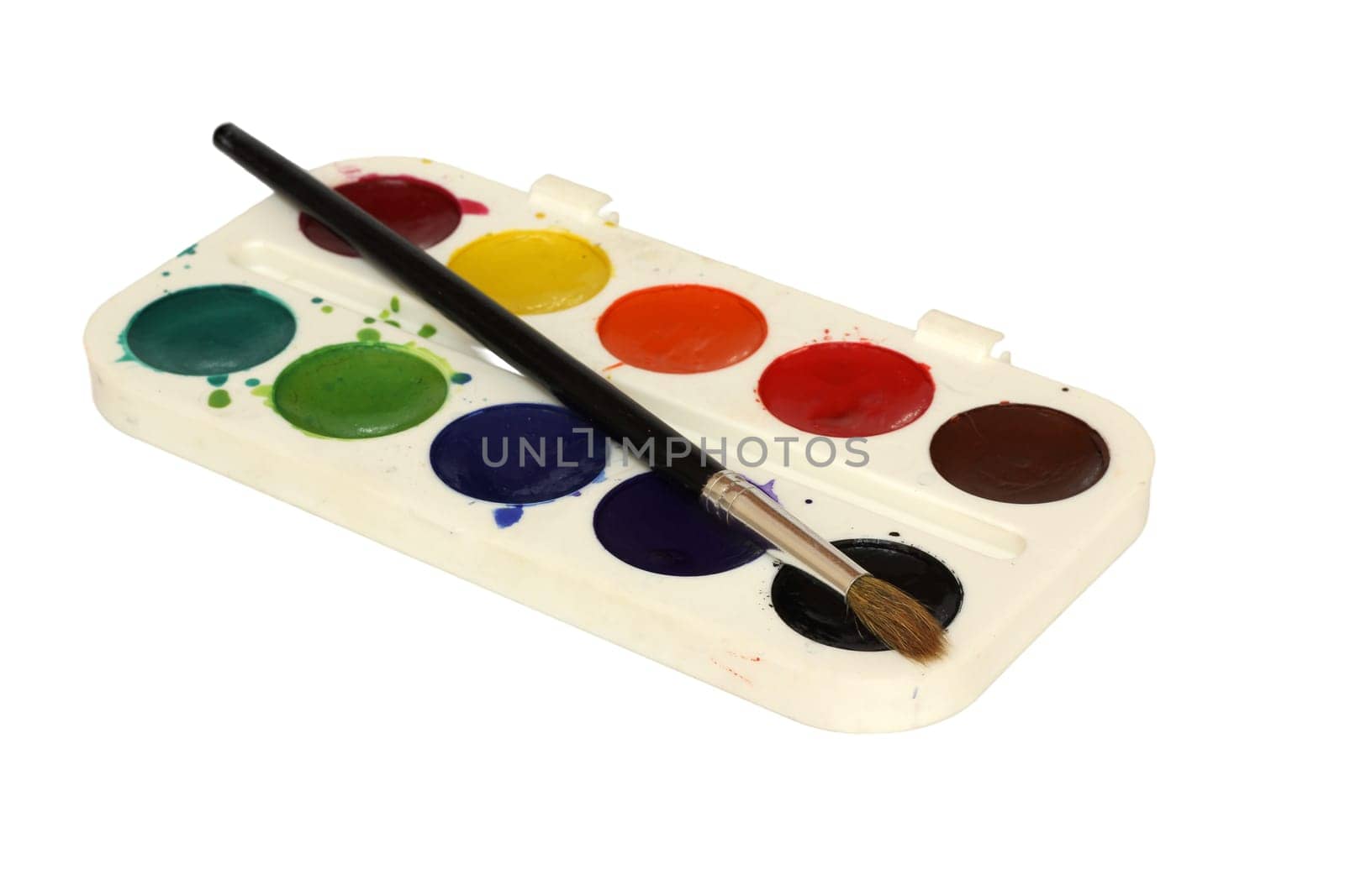 Watercolor paint and brush in white box isolated on white background.
