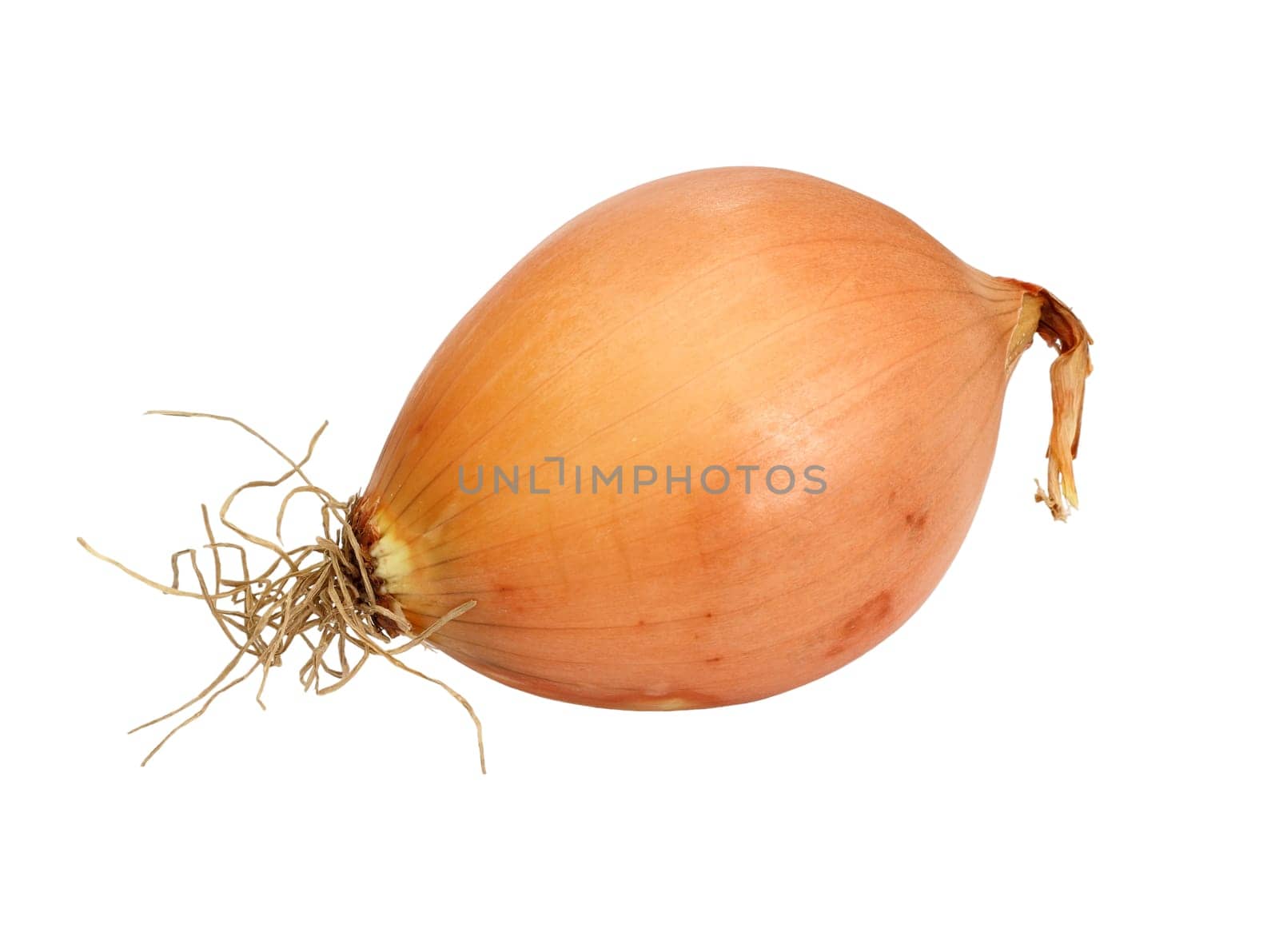 A yellow onion isolated on a white background.