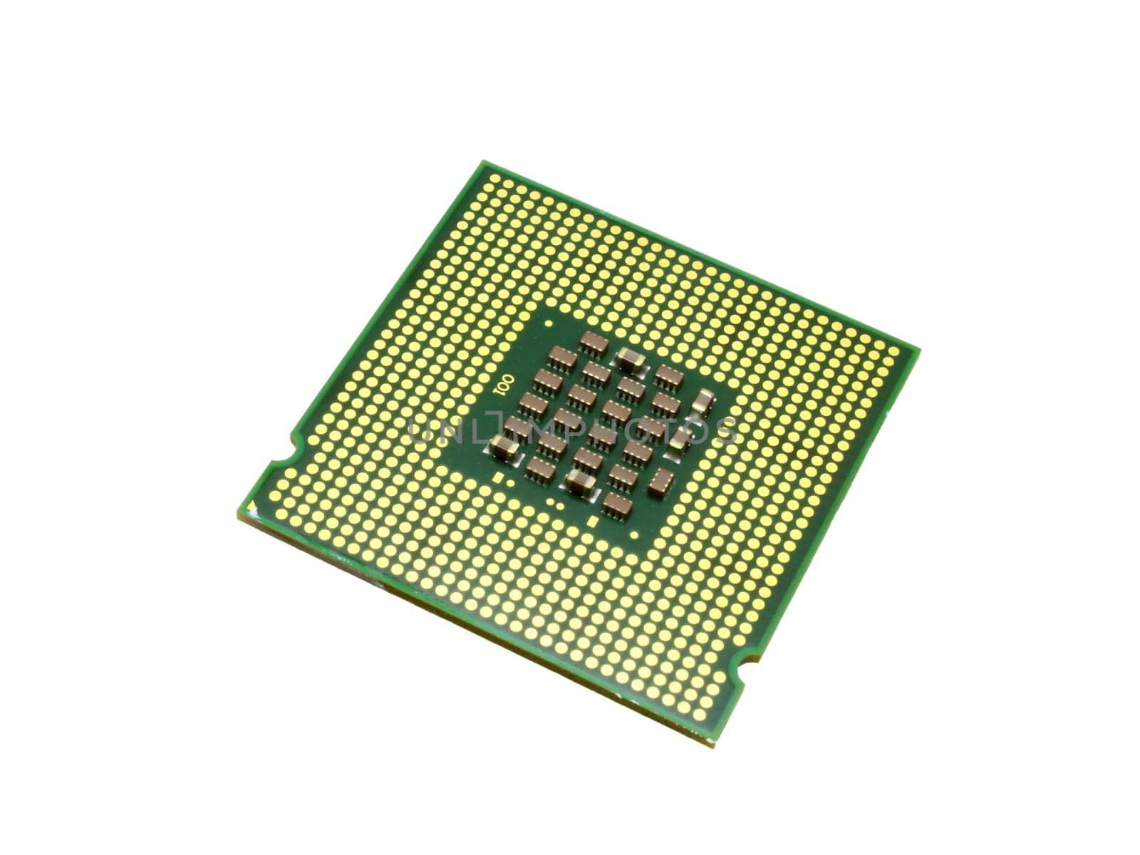 Green CPU processor chip isolated on white background.