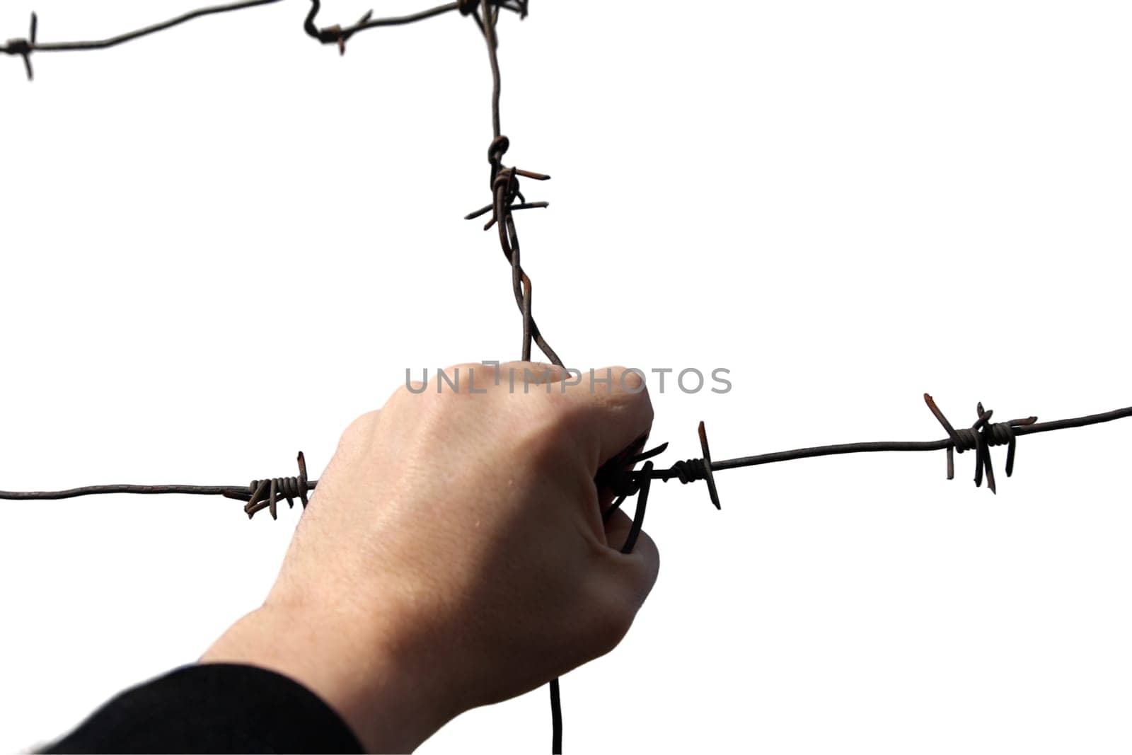 Hand holding rusty barbed wire isolated on white.