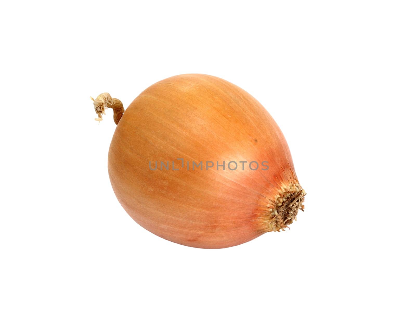 A yellow onion isolated on a white background.