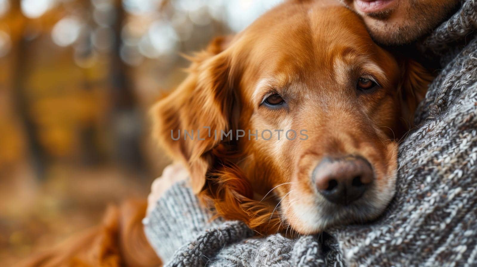 A man hugging a dog in his arms while wearing a sweater