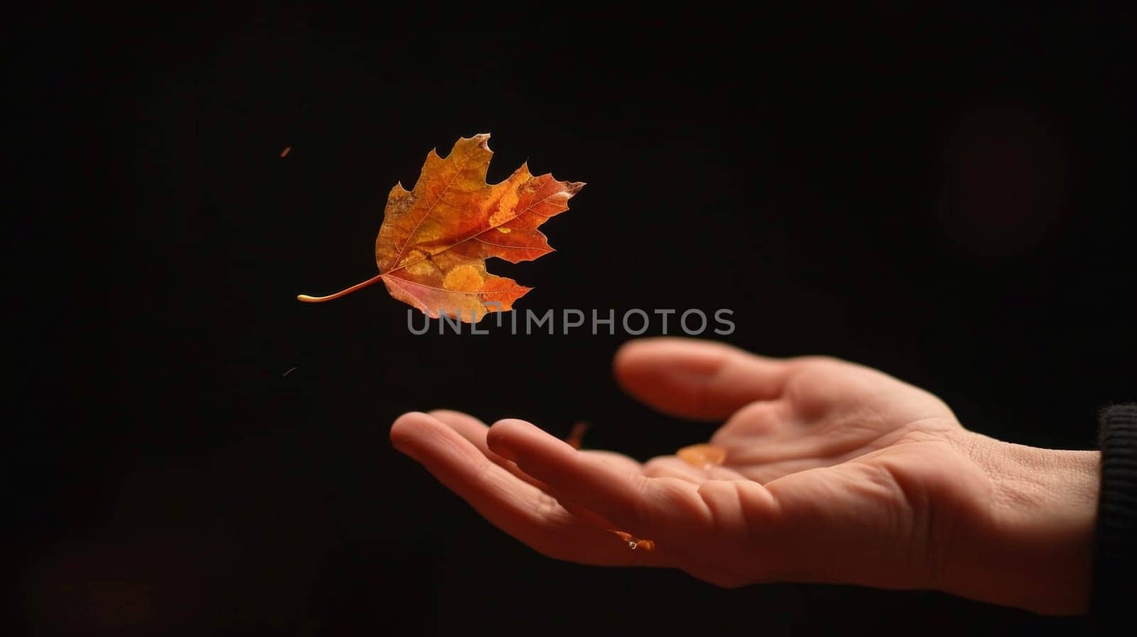 A person holding a leaf in their hand with the wind blowing it, AI by starush