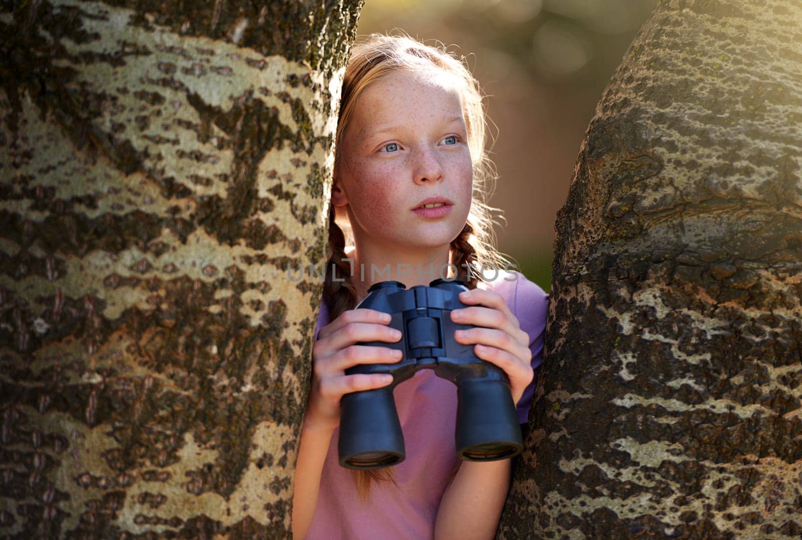 Tree, girl and binoculars for safari, search and looking for animals on travel holiday. Curious, explore and seek for bird watching or wildlife in nature, young child and scenery or view in Kenya.