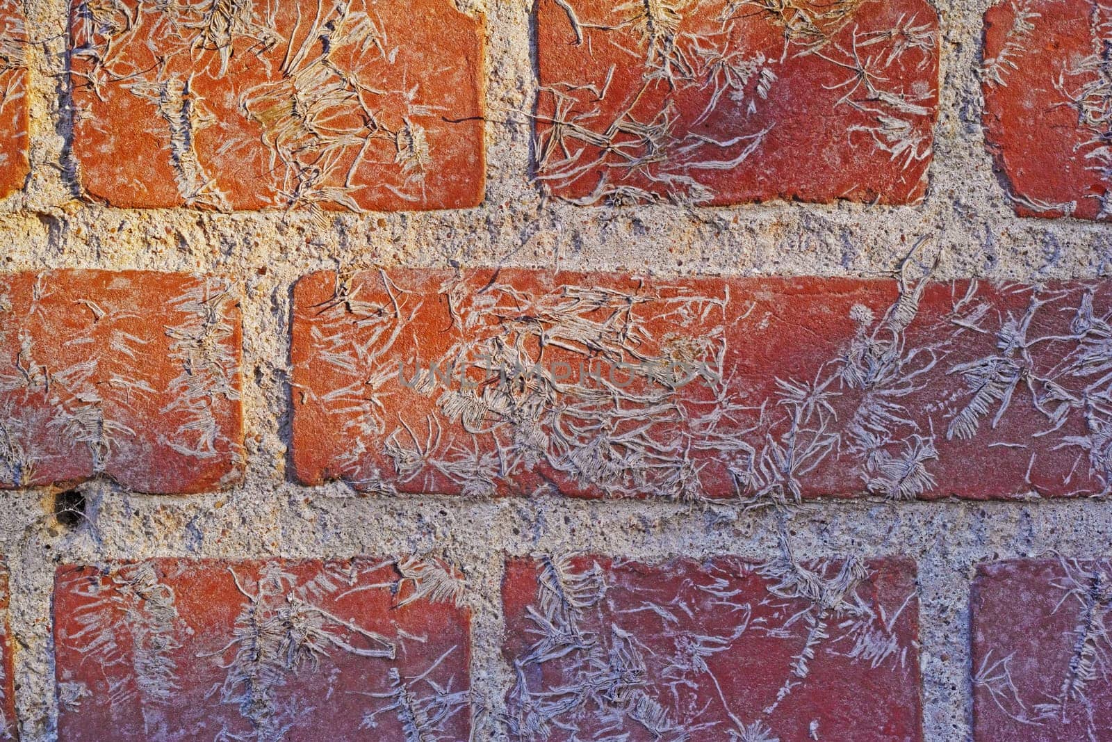 Red, brick wall and wallpaper with cement or concrete for strength to hold, building and construction. Background, backdrop and strong block for fence or solidarity, unity and boundaries to separate. by YuriArcurs