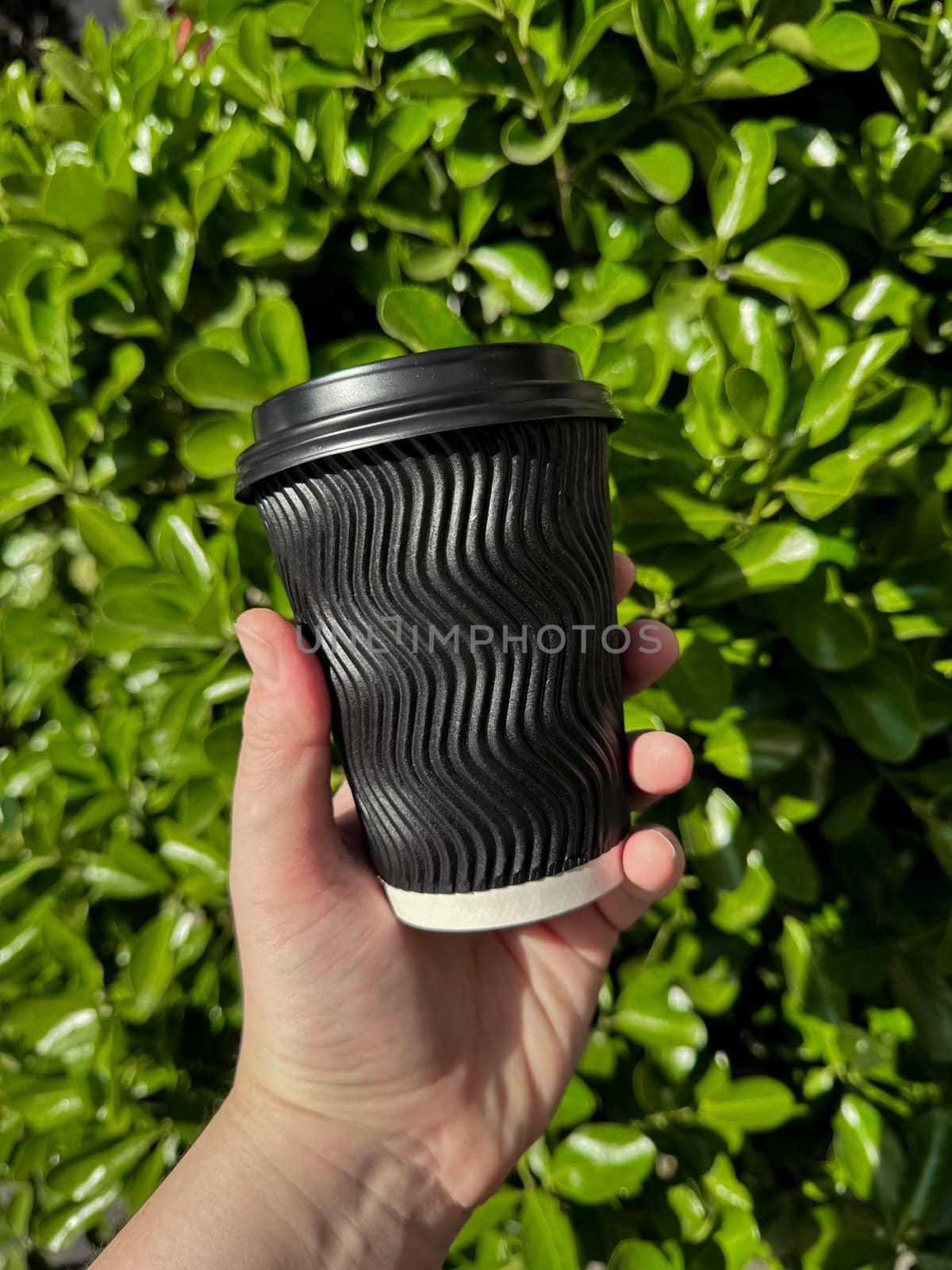 Hand holding black corrugated cardboard coffee cup with lid against background of lush green leafy bush. Urban eco friendly lifestyle. Blank space for sticker or label. High quality photo