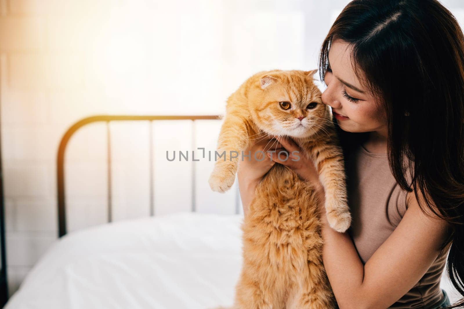 In this close-up, a woman lovingly holds her cute long-haired kitty, a beautiful orange Scottish Fold cat. The image conveys the warmth and connection between pet and owner in a home setting.