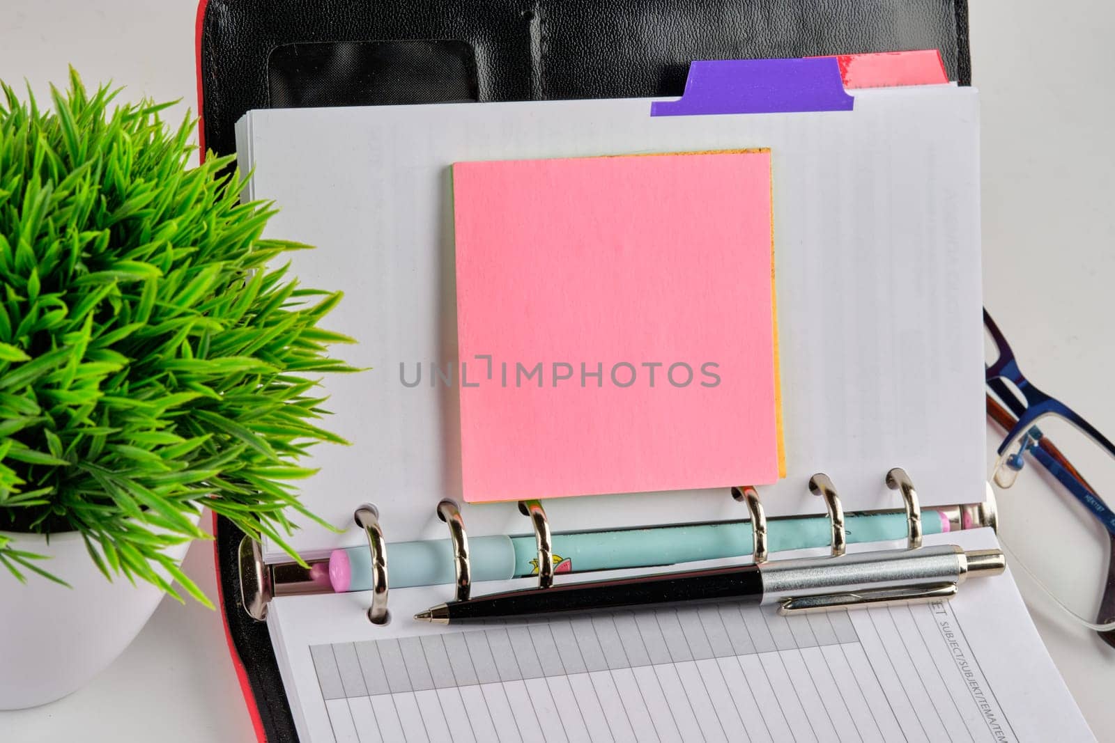 An open notebook with a sticker for writing with a plant in the foreground with selective focus by Ihar