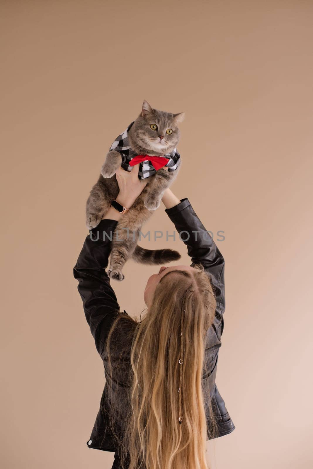 A woman natural blonde long hair in a black clothes stand back on photo studio. girl with big boss pet scottish straight cat in suit ant tie. portrait , vertical, close up