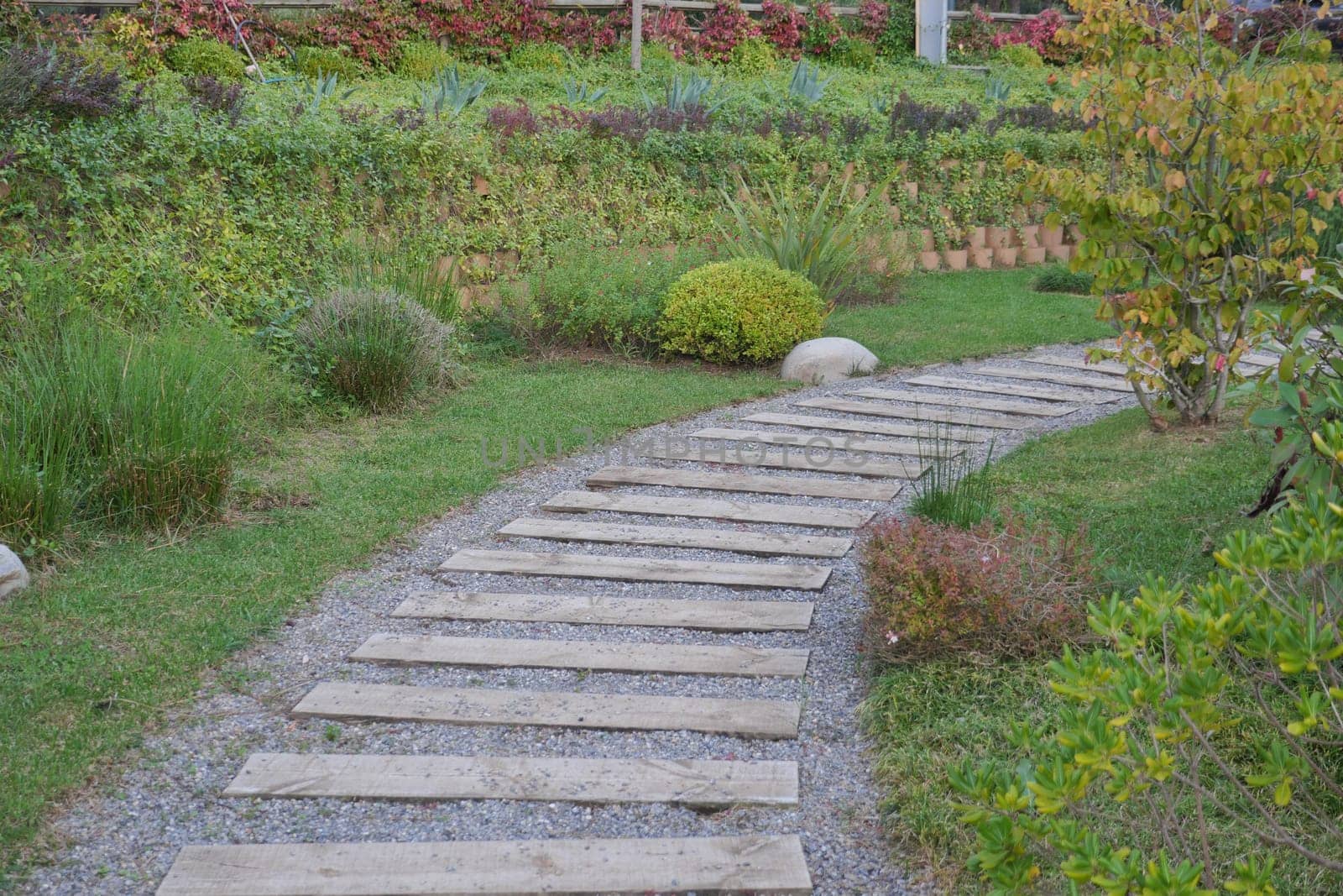 A wooden walkway winding through a natural landscape of grass, trees, and shrubs, providing a peaceful path to explore the garden.