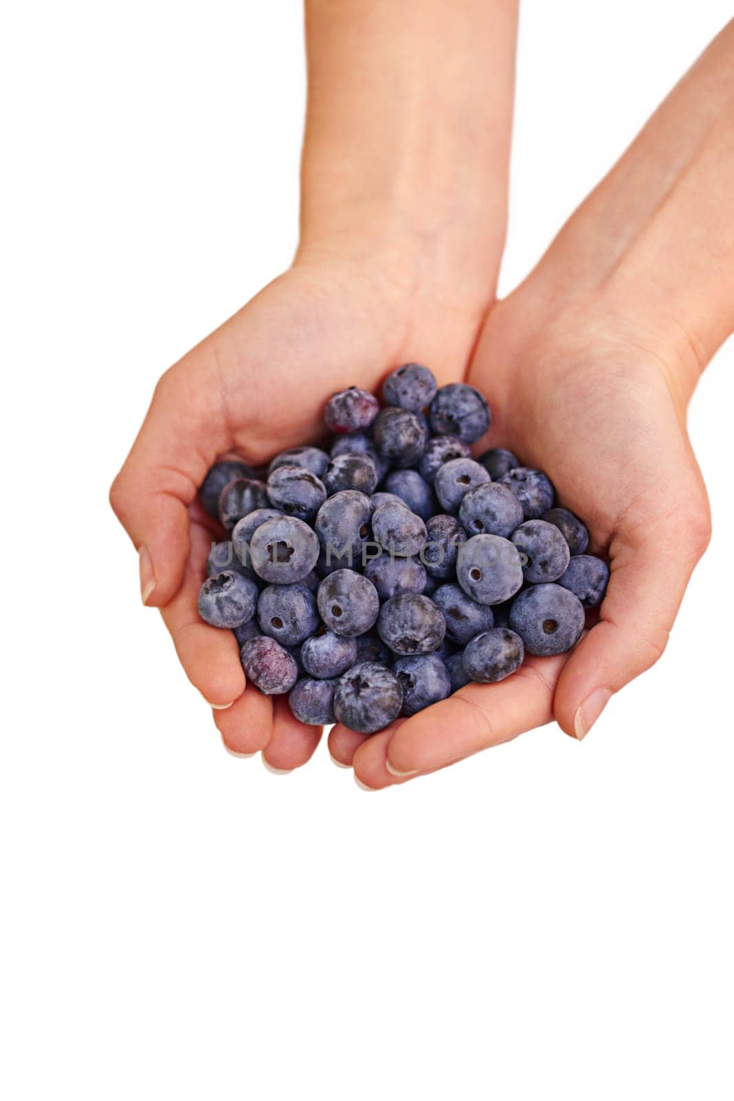 Bunch, blueberries and woman hands in studio for healthy, organic and balanced diet by eating nutritious snacks. Person, fresh and natural ingredients with vitamin on isolated white background.